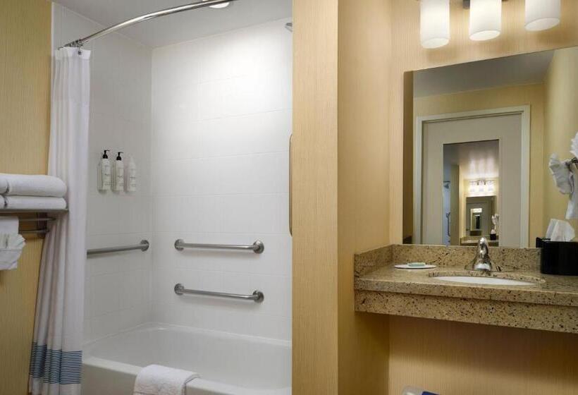Студия Стандарт, Towneplace Suites Ann Arbor