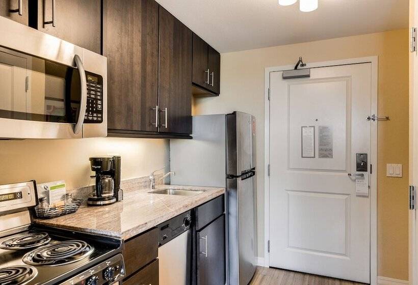 套房, Towneplace Suites Ann Arbor