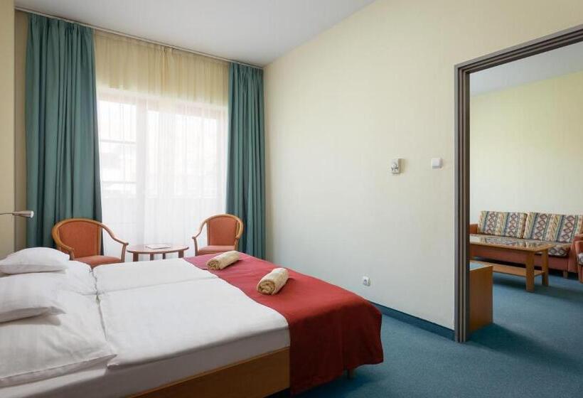 شقة غرفة واحدة, Hunguest Hotel Aqua Sol