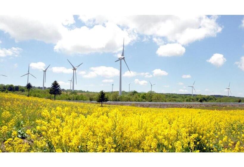 إستوديو قياسى, Tenryukaku