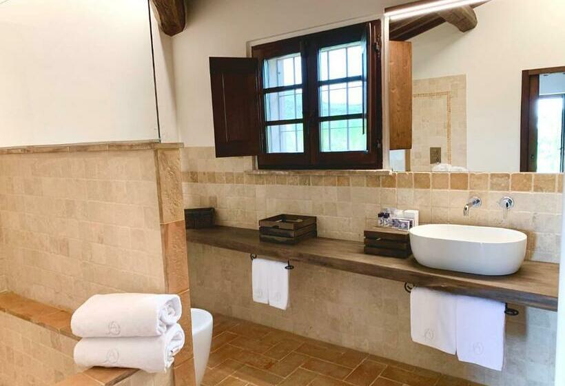 Camera Standard, Opera Domini Asisium