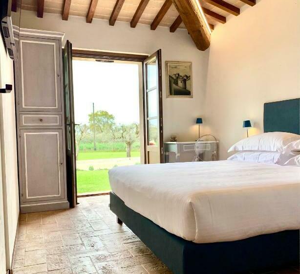 Camera Standard, Opera Domini Asisium