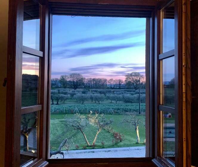 Camera Deluxe, Opera Domini Asisium