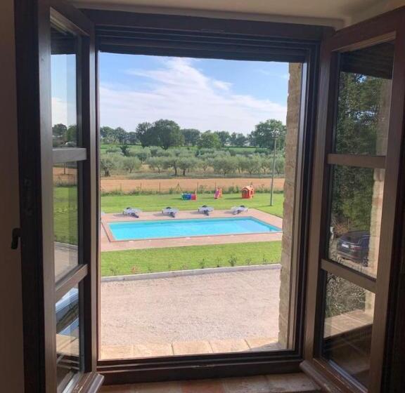 Camera Familiare, Opera Domini Asisium