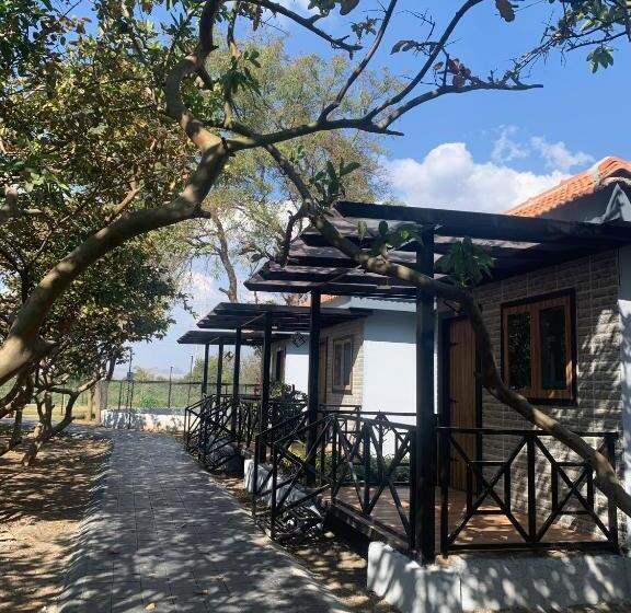 Номер Стандарт Вид на Сад, Raghunandan Resort