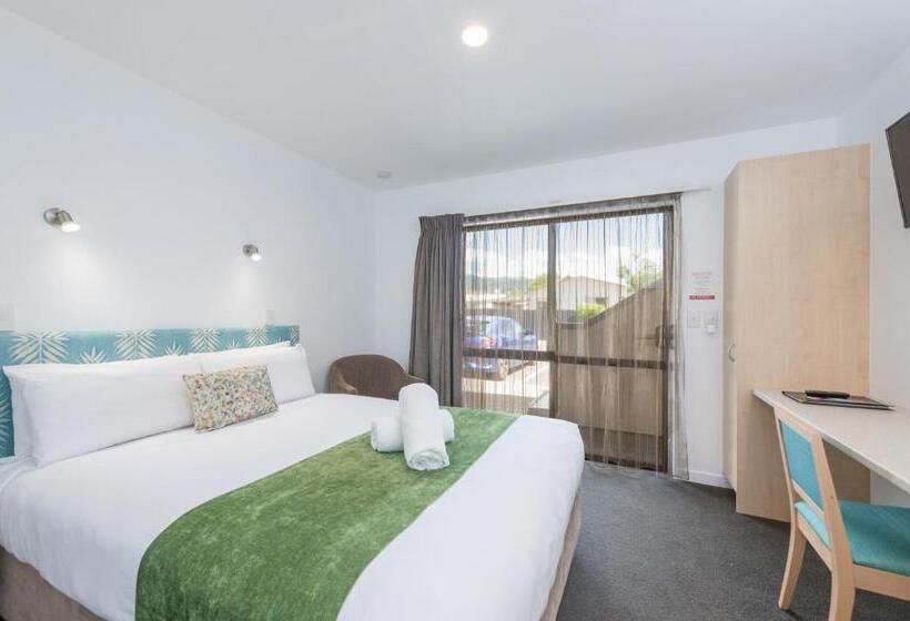 إستوديو قياسى, Bella Vista Nelson