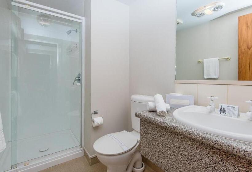 شقة غرفة واحدة, Bella Vista Nelson