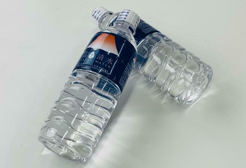 غرفة قياسية, Dormy Inn Premium Wakayama Natural Hot Spring