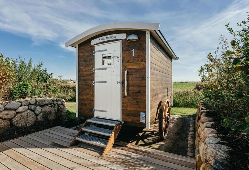 سوییت, Seaside 43