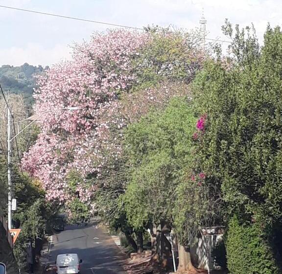 Ekonomiskt Rum, Agterplaas Guesthouse Pty Ltd