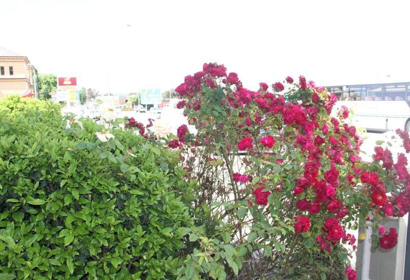 디럭스 패밀리 룸, Alpine Heritage Motel