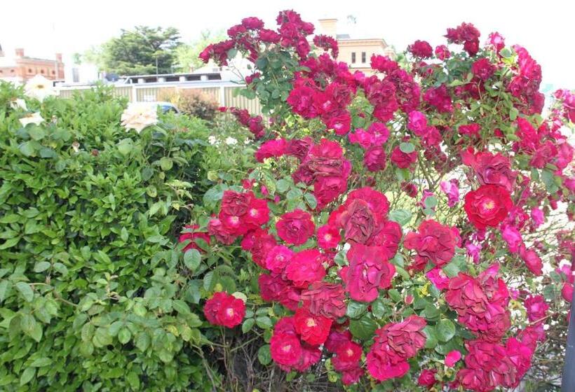 패밀리 룸, Alpine Heritage Motel