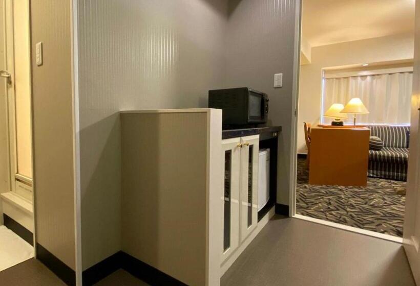 スタンダードトリプルルーム, Apa Hotel Kanazawa Katamachi Excellent