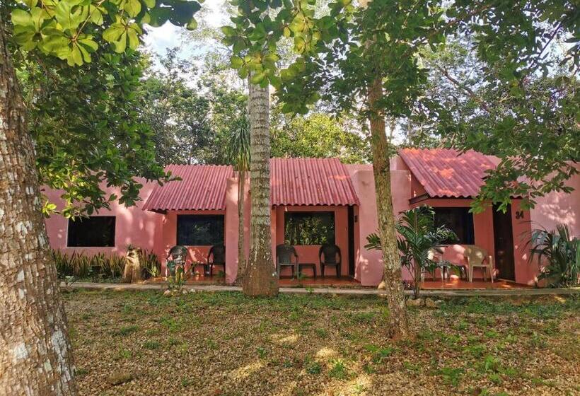 غرفة قياسية, Doralba Inn Chichen