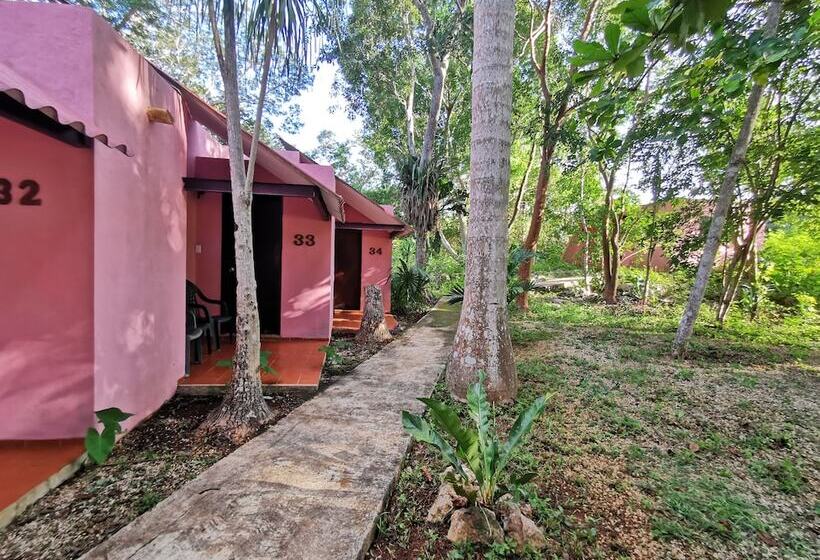 غرفة قياسية, Doralba Inn Chichen