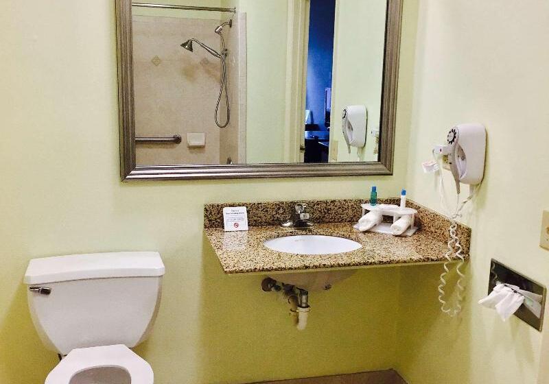 غرفة قياسية, Greentree Inn Changzhou Xinbei District Taihu Road Wanda Plaza Dinosaur Park Express