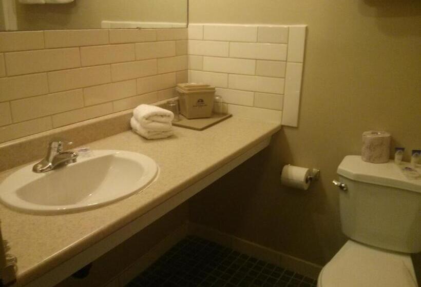 带大床的标准间, Port Motel