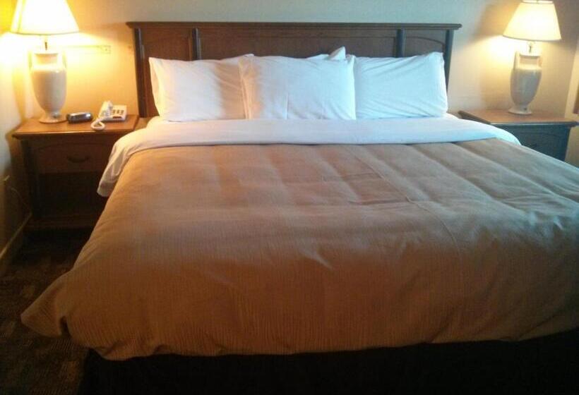 带大床的标准间, Port Motel