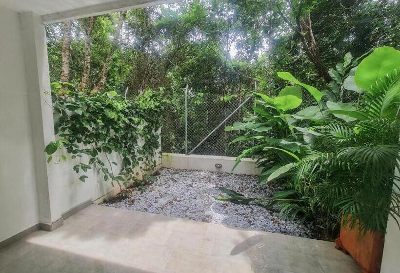 ファミリールーム, Monte Bello