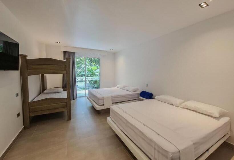 ファミリールーム, Monte Bello