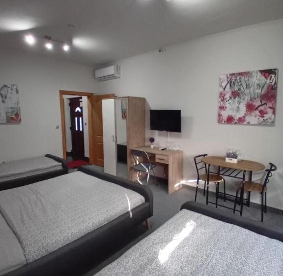 اتاق استاندارد چهار تخته, Pansion San