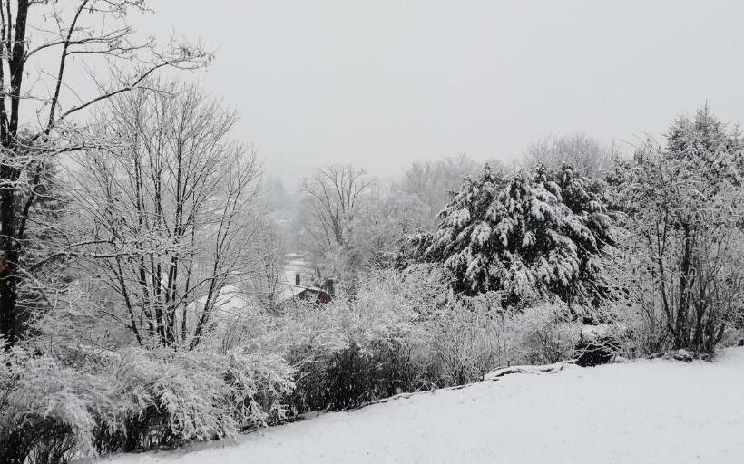 ガーデンビュースタンダードルーム, La Tuilerie Chambres D Hôtes