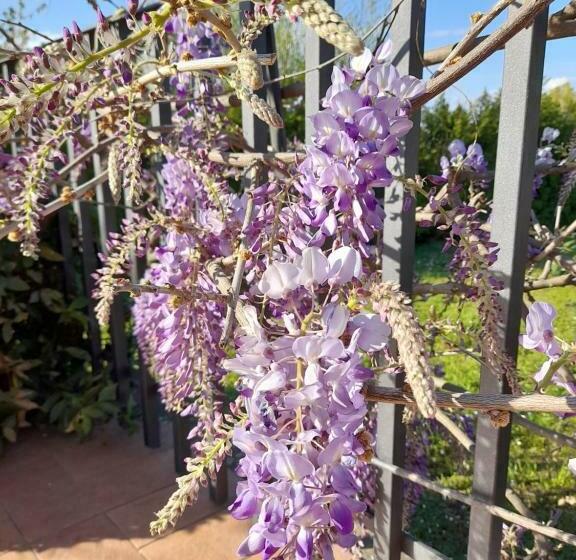 اتاق استاندارد, La Terrazza Di Otto