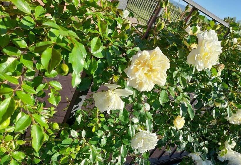 اتاق استاندارد, La Terrazza Di Otto