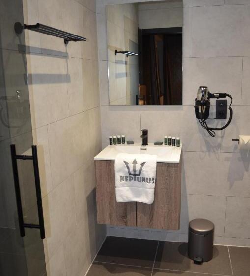 Номер Deluxe Кровать Кинг, Neptunus