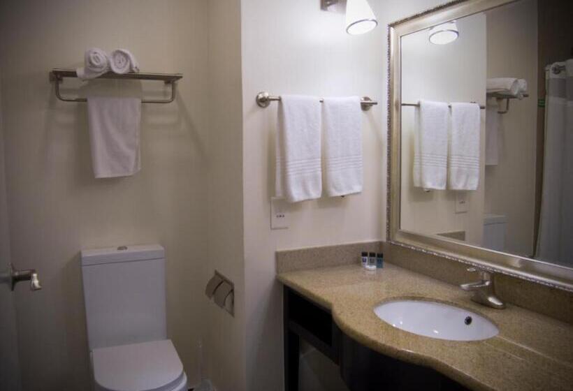 Номер Стандарт Кровать Кинг Адаптированный для Инвалидов, Hampshire Hotel Ballito