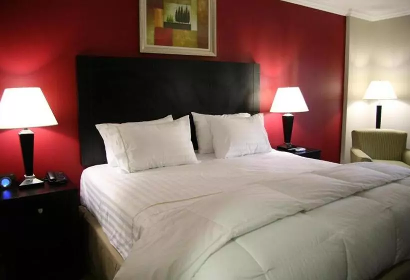 身障者適用キングサイズベッドルーム, Hampshire Hotel   Ballito