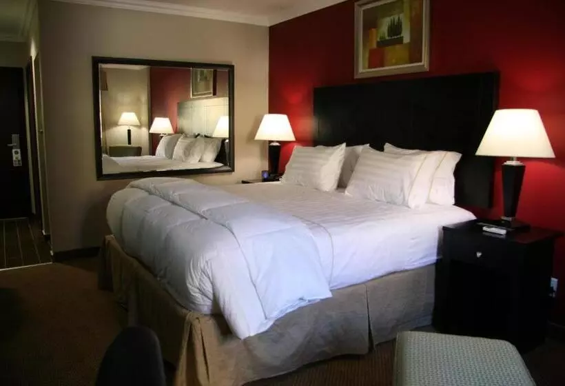 身障者適用キングサイズベッドルーム, Hampshire Hotel   Ballito