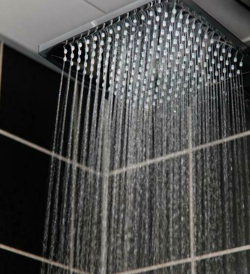 スイート, The Screen