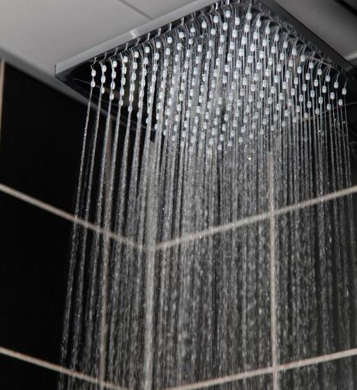 エクゼクティブスイート, The Screen