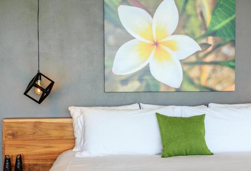 جناح سوبيريور مطل علي البحر, Rancho Pacifico   Boutique Hotel For Adults