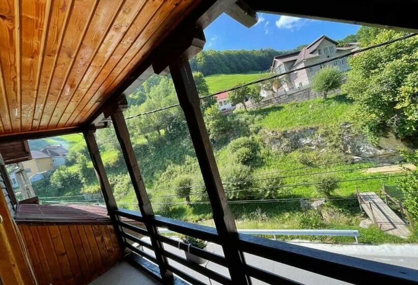 וילה בת חדר שינה 1, Vila Maria Dambovicioara