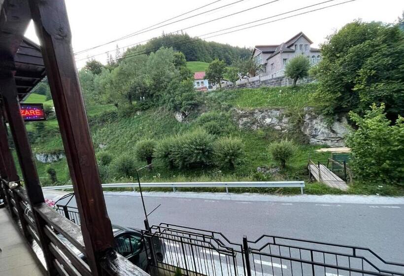 ویلای 1 خوابه, Vila Maria Dambovicioara