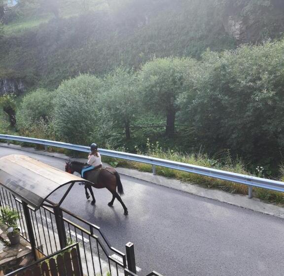 חדר סטנדרט, Vila Maria Dambovicioara