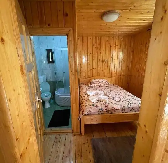デラックスルーム, Vila Maria Dambovicioara