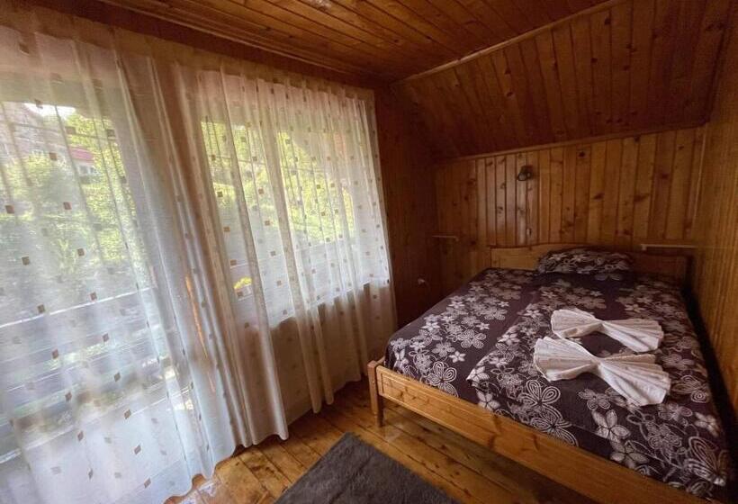 ویلای 1 خوابه, Vila Maria Dambovicioara