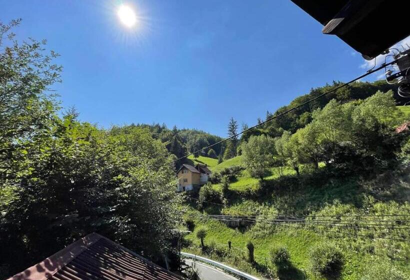 חדר סטנדרט, Vila Maria Dambovicioara