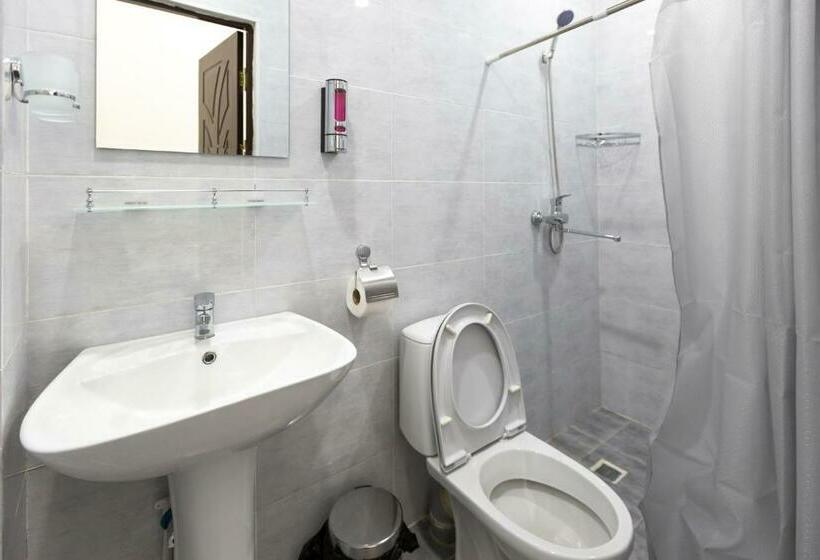 اتاق استاندارد, Light