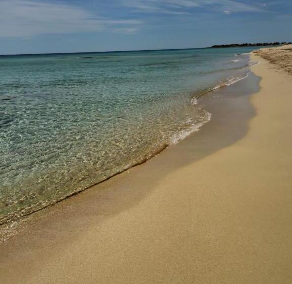 带露台的标准工作室, Infinity Residence Con Parcheggio