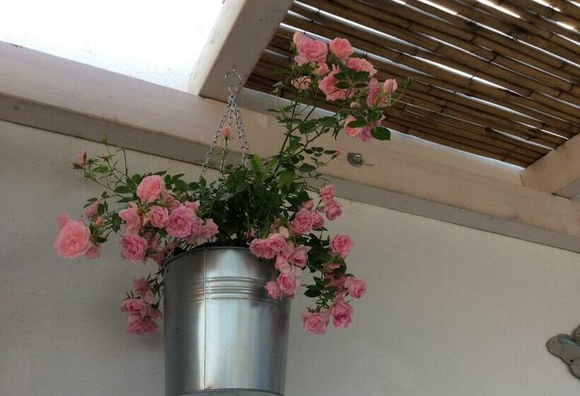 Номер Стандарт, 4 In Piazza