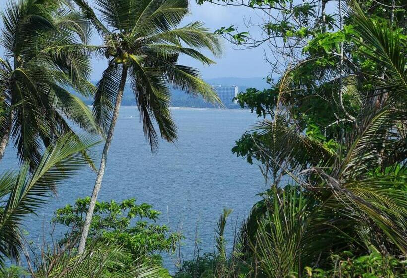 オーシャンビューデラックスルームバルコニー付き, Seaside House