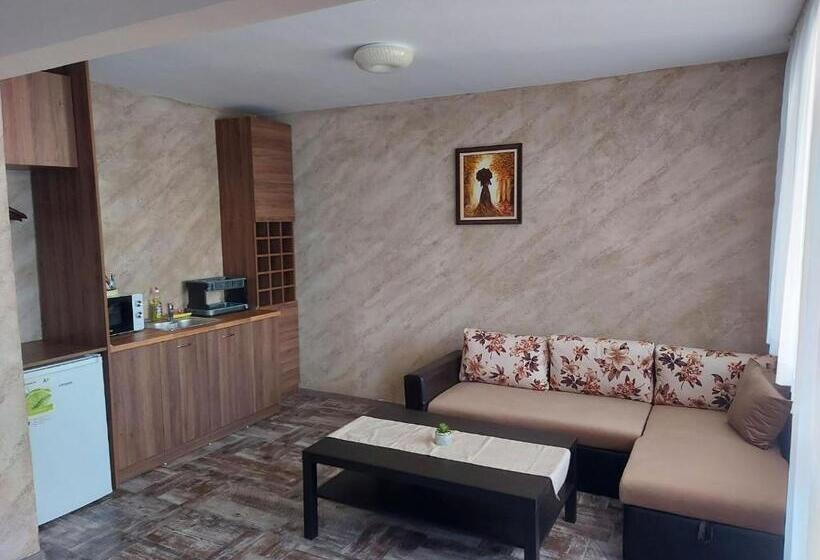 Студия Стандарт, Villa Valentines