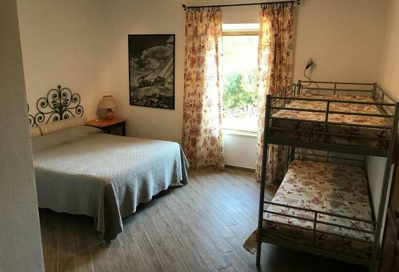 חדר סטנדרט, Le 25 Tartarughe