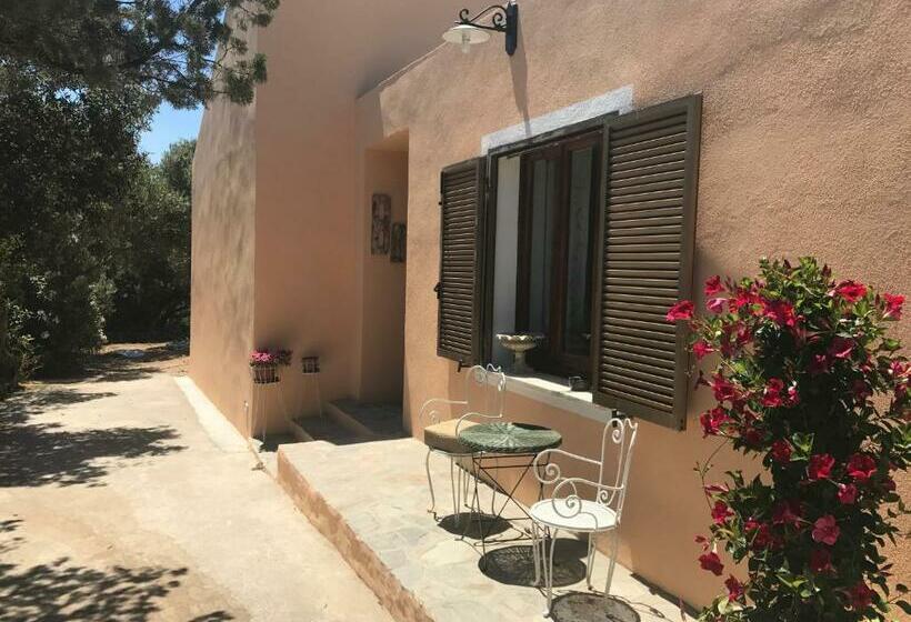 חדר סטנדרט, Le 25 Tartarughe