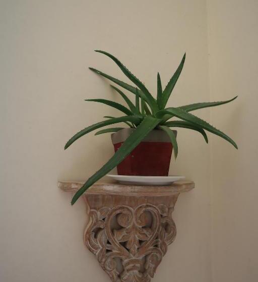 غرفة قياسية, Tierra Cristiana