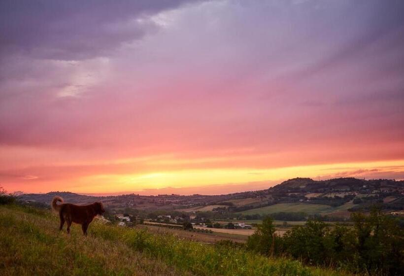 منزل غرفة نوم واحدة, Tierra Cristiana